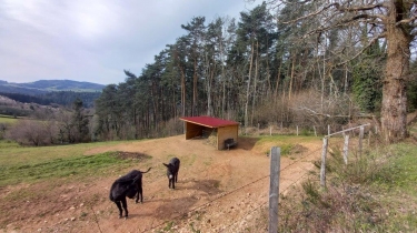 ARCINGES EN PAYS DE CHARLIEU-loire