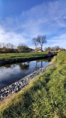BRIENNON - PORT - CANAL ET LES PRAIRIES D ELEVAGE CHAROLAIS-loire