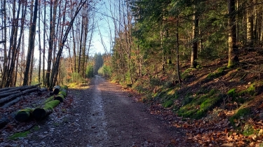 ECOCHE - LE CIRCUIT DES CRETES-loire