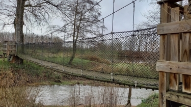 LES BORDS DE LOIRE A POUILLY-SOUS-CHARLIEU-loire