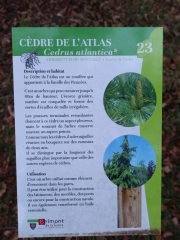 BELMONT-DE-LA-LOIRE ET SON PLAN D EAU-loire