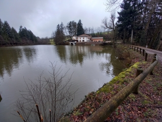 LA GRESLE ET SES ETANGS-loire