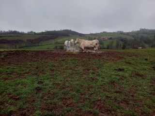 LA GRESLE ET SES ETANGS-loire