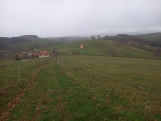 LA GRESLE A DECOUVERT-loire