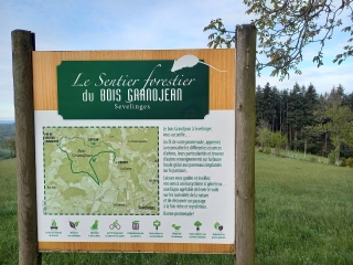 SEVELINGES ET LE BOIS GRANDJEAN-loire