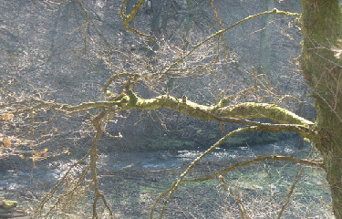 SAINT-VICTOR-SUR-LOIRE-loire