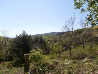 LERIGNEUX - PROXI DE MONTBRISON-loire