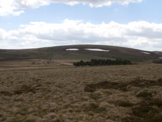 LERIGNEUX - PROXI DE MONTBRISON-loire