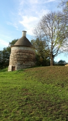 AMIONS - FORET DE BAS-loire