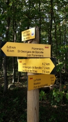 AMIONS - FORET DE BAS-loire