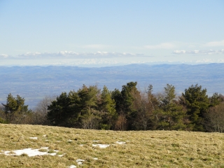 LES HAUTS CHAUME-loire