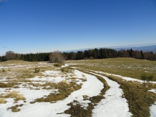 LES HAUTS CHAUME-loire