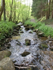 CIRCUIT DANS LE HAUT-FOREZ (LA FOREST - LA FAVERGE - LE BOST - ANNEZIEUX)-loire
