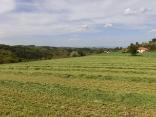 CIRCUIT DANS LE HAUT-FOREZ (LA FOREST - LA FAVERGE - LE BOST - ANNEZIEUX)-loire