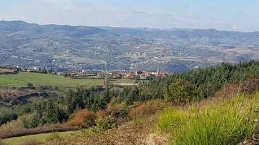 BOUCLE AUTOUR DE FARNAY-loire