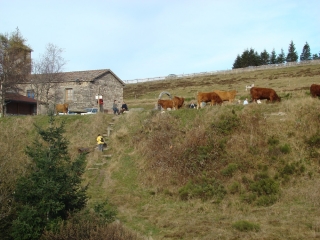 CROIX DE CHAUBOURET - LA JASSERIE (LE PILAT LOIRE)-loire