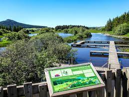 ETANG DES BARTHES -haute-loire