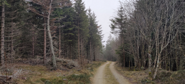 RECHAUSSEYRE ET ROCHER TOURTRE-haute-loire