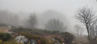 RECHAUSSEYRE ET ROCHER TOURTRE-haute-loire