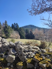 LES CHEMINS OUBLIéS DU MEYGAL.-haute-loire