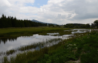 LAC DES BARTHES-haute-loire