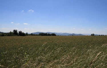ST ANDRE DE CHALENCON (2)-haute-loire