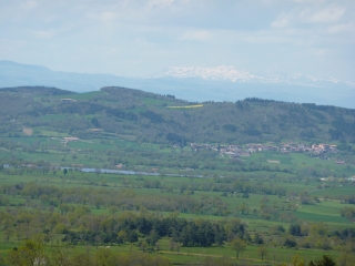 J5 - GR DE PAYS ROBE DE BURE -haute-loire