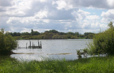 Autour de Bouaye-loire-atlantique