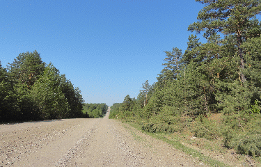 CANAL DE LA MARTINIERE-loire-atlantique