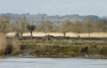 CANAL DE LA MARTINIERE-loire-atlantique