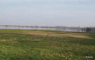 SAINT LUMINE DE COUTAIS-loire-atlantique