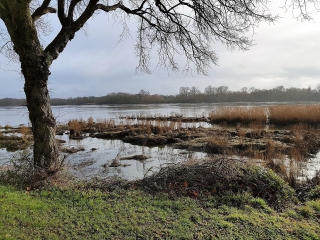 SAINTE-LUCE-SUR-LOIRE-loire-atlantique