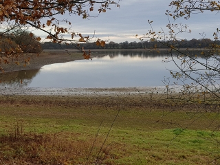 ETANG DE VIOREAU-loire-atlantique