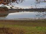 ETANG DE VIOREAU-loire-atlantique
