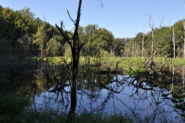 RIVIERE GESVRES-loire-atlantique