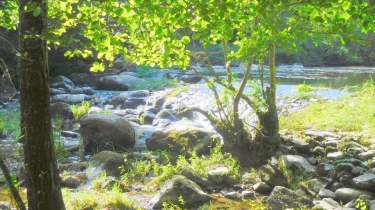 CIRCUIT ENTRE BOURG ET MAINE-loire-atlantique