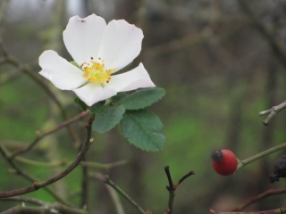 CIRCUIT DES SABLES-loire-atlantique