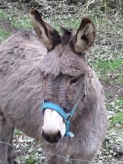 CIRCUIT DES SABLES-loire-atlantique