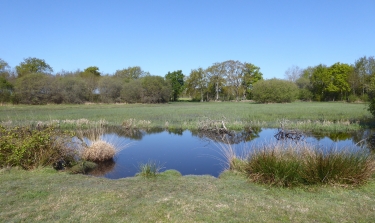 LA CHAUSSEE NEUVE-loire-atlantique