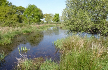 LES LANDES DE BRIERE-loire-atlantique