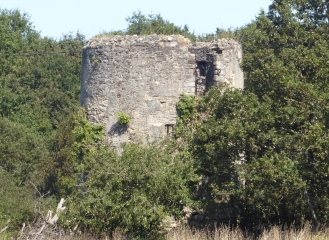 LA CHAPELLE DES MARAIS-loire-atlantique