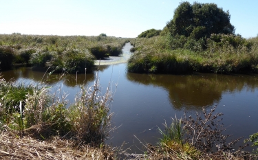 LES MARAIS AUTOUR DE CAMER-loire-atlantique