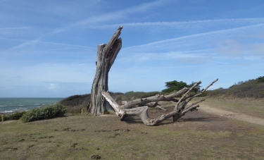 LA COTE SAUVAGE DE JADE-loire-atlantique