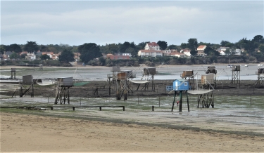 THARON A PORT GIRAUD-loire-atlantique