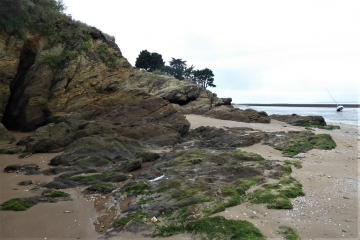 THARON A PORT GIRAUD-loire-atlantique