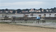 THARON A PORT GIRAUD-loire-atlantique