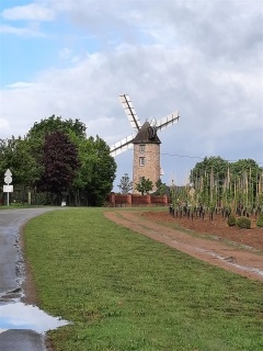 SAINT-MARS-DU-DESERT - DETOURS DES MOULINS - OREE DES BOIS-loire-atlantique