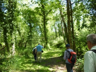 HERBIGNAC-loire-atlantique