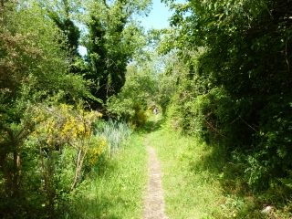 PIRIAC-SUR-MER - CIRCUIT DE LA POINTE DU CASTELLI-loire-atlantique