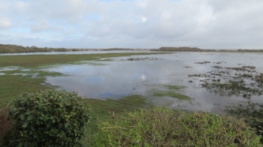 SAINT-ANDRE-DES-EAUX - MARAIS ET BOCAGE-loire-atlantique